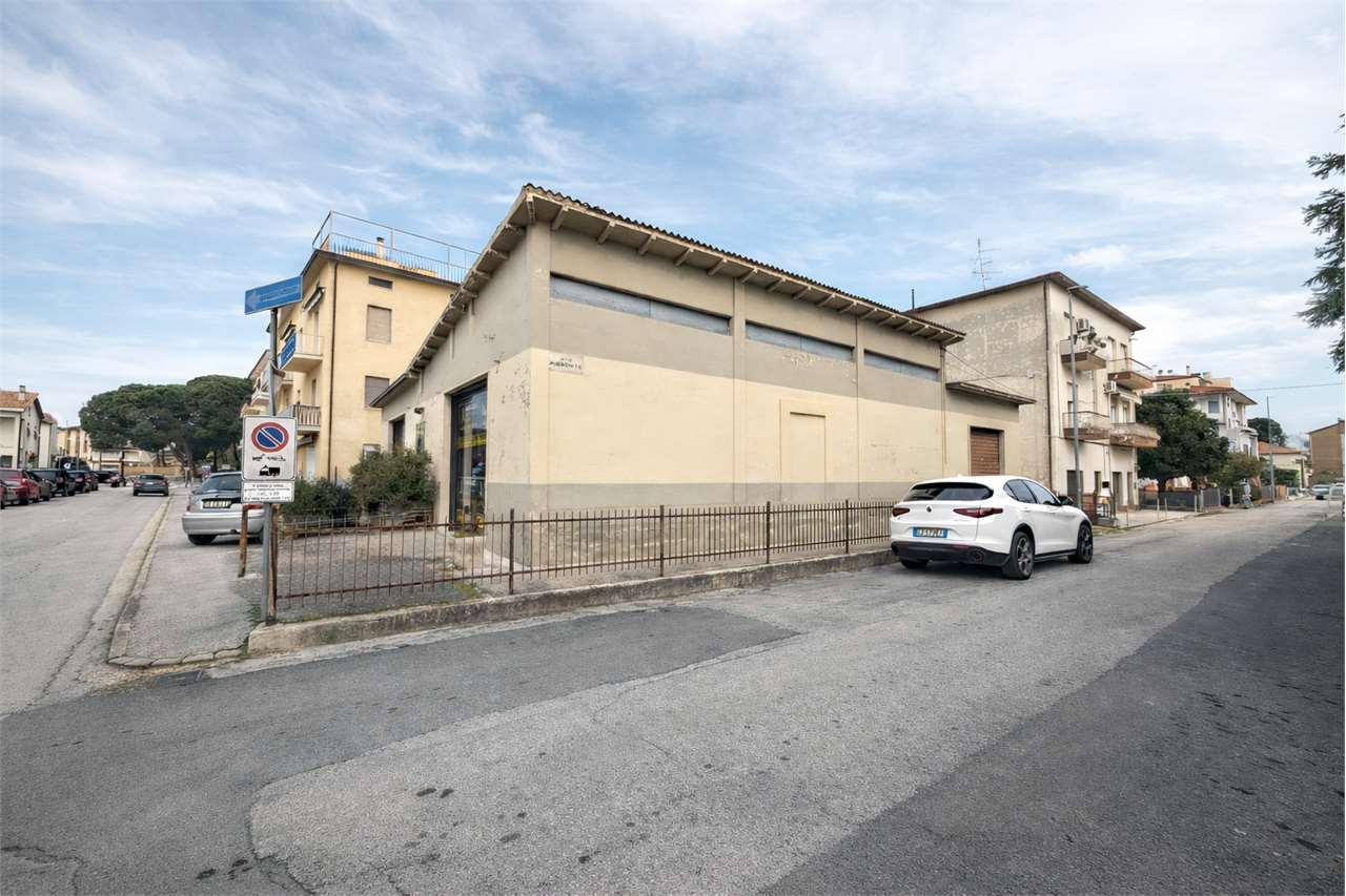 immagine annuncio 3 di 12