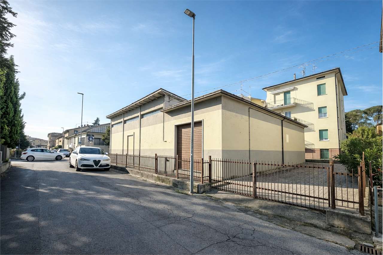 immagine annuncio 2 di 12