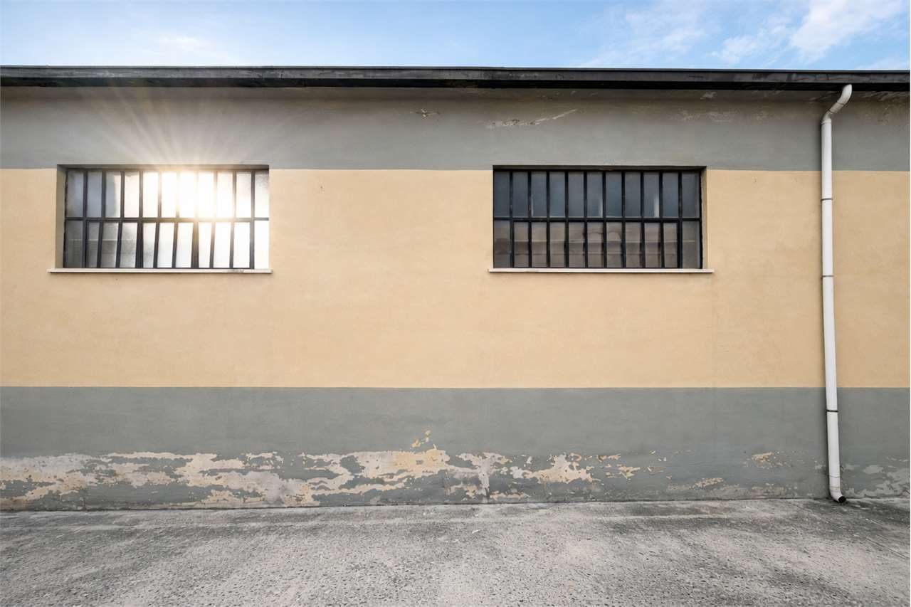 immagine annuncio 8 di 12