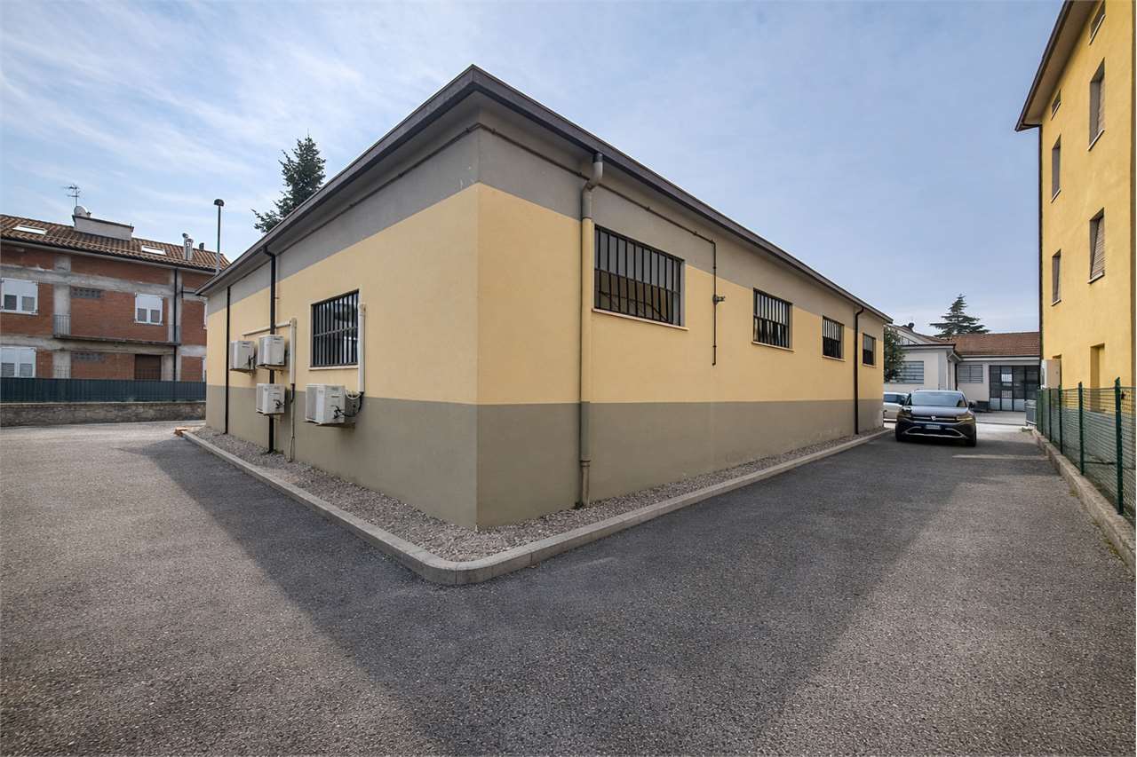 immagine annuncio 5 di 12