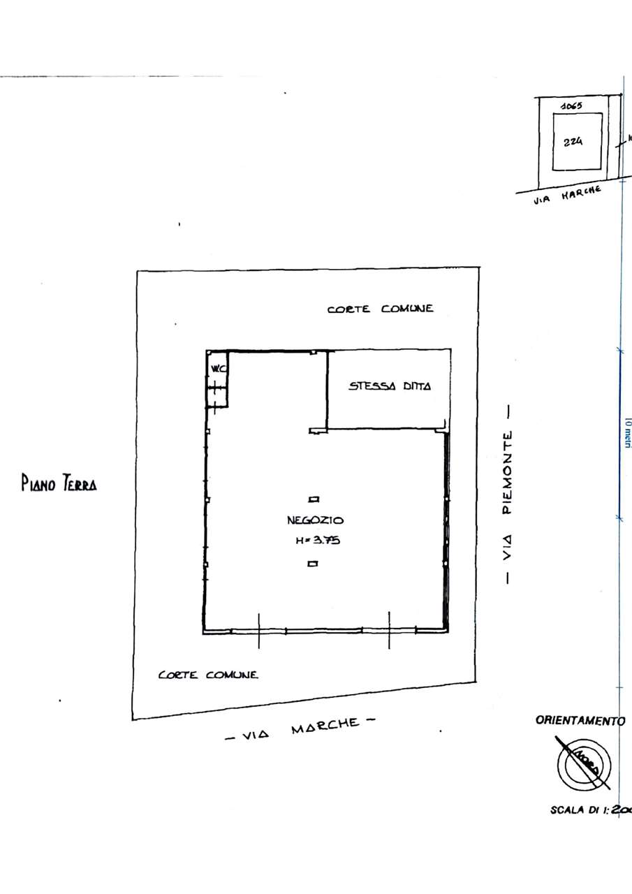 immagine annuncio 11 di 12