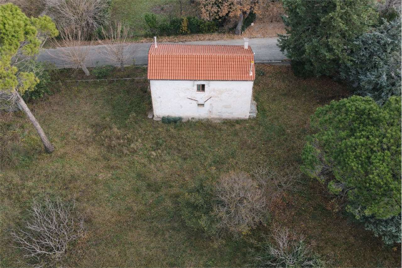 immagine annuncio 10 di 14