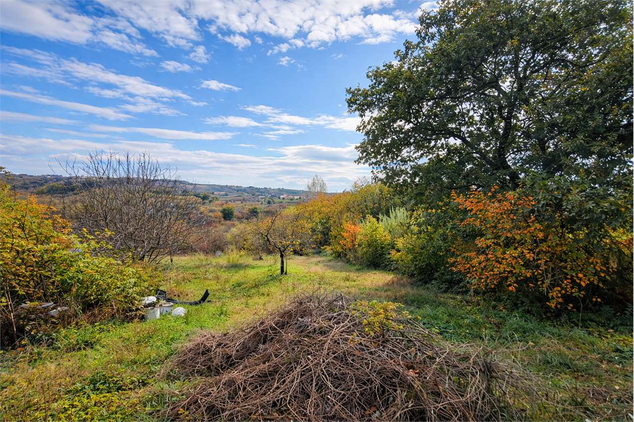 immagine annuncio 11 di 14