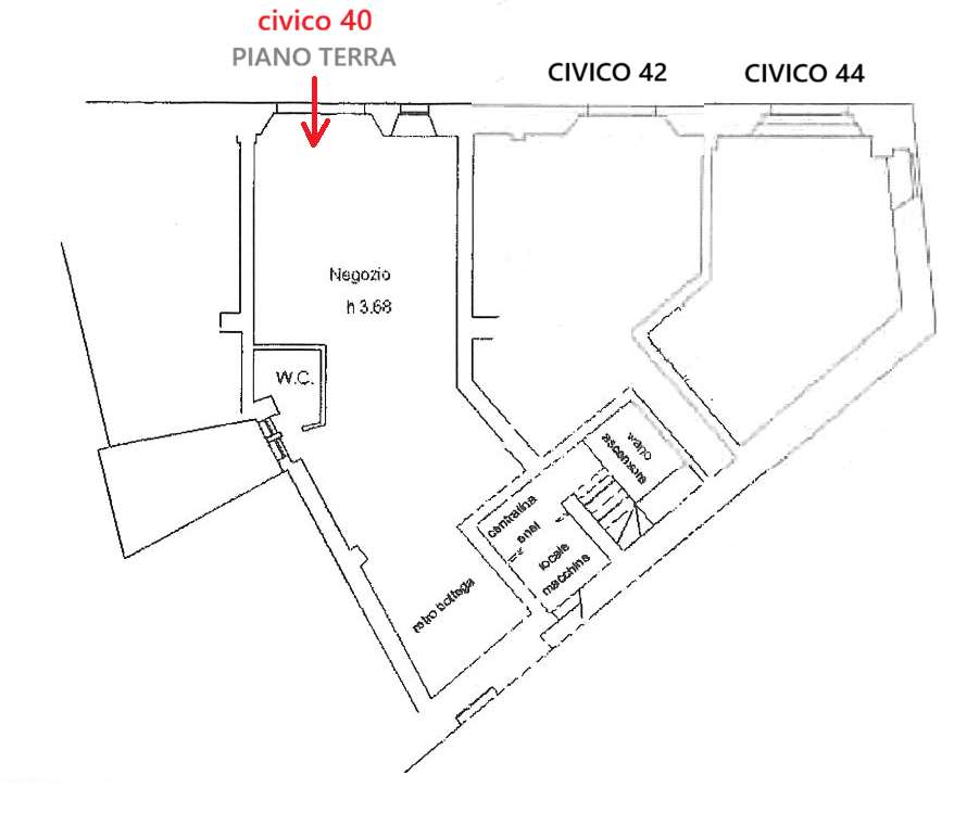 immagine annuncio 1 di 13