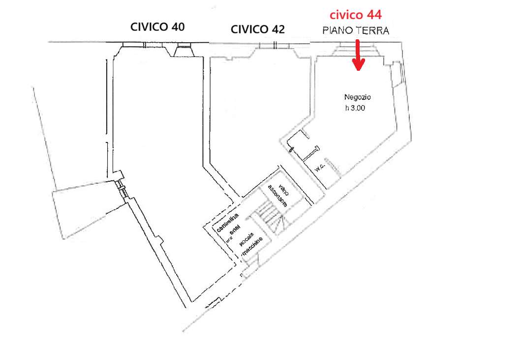 immagine annuncio 12 di 13