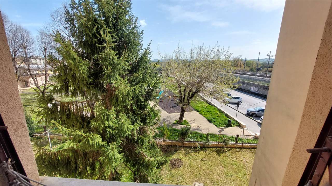 immagine annuncio 8 di 12