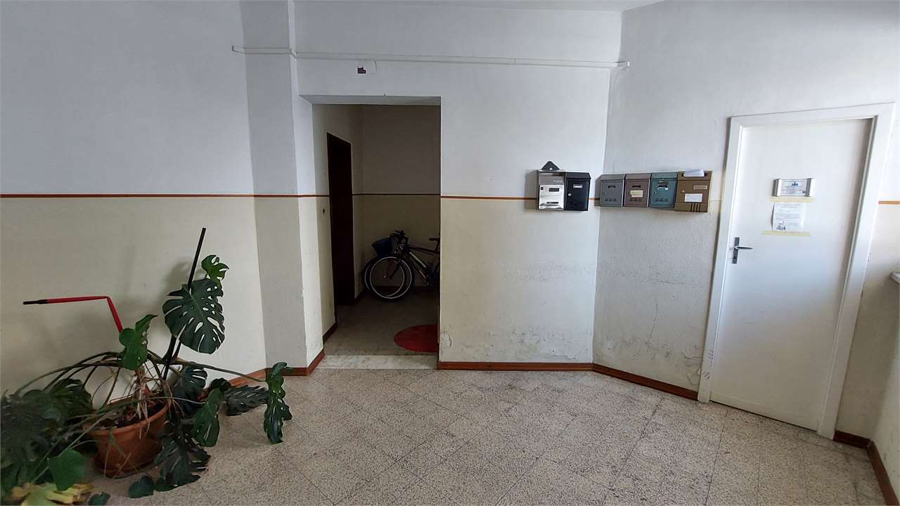 immagine annuncio 9 di 12