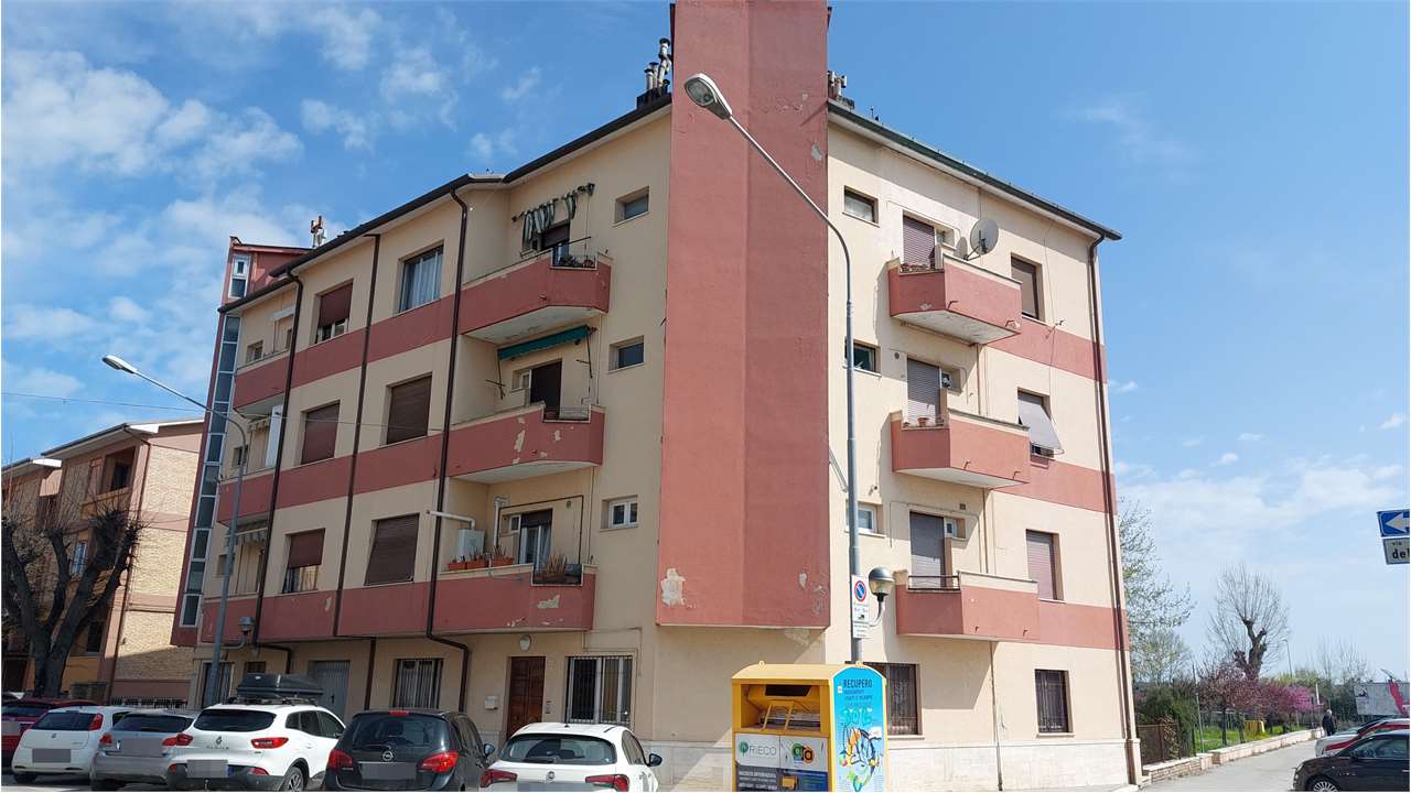 immagine annuncio 1 di 12