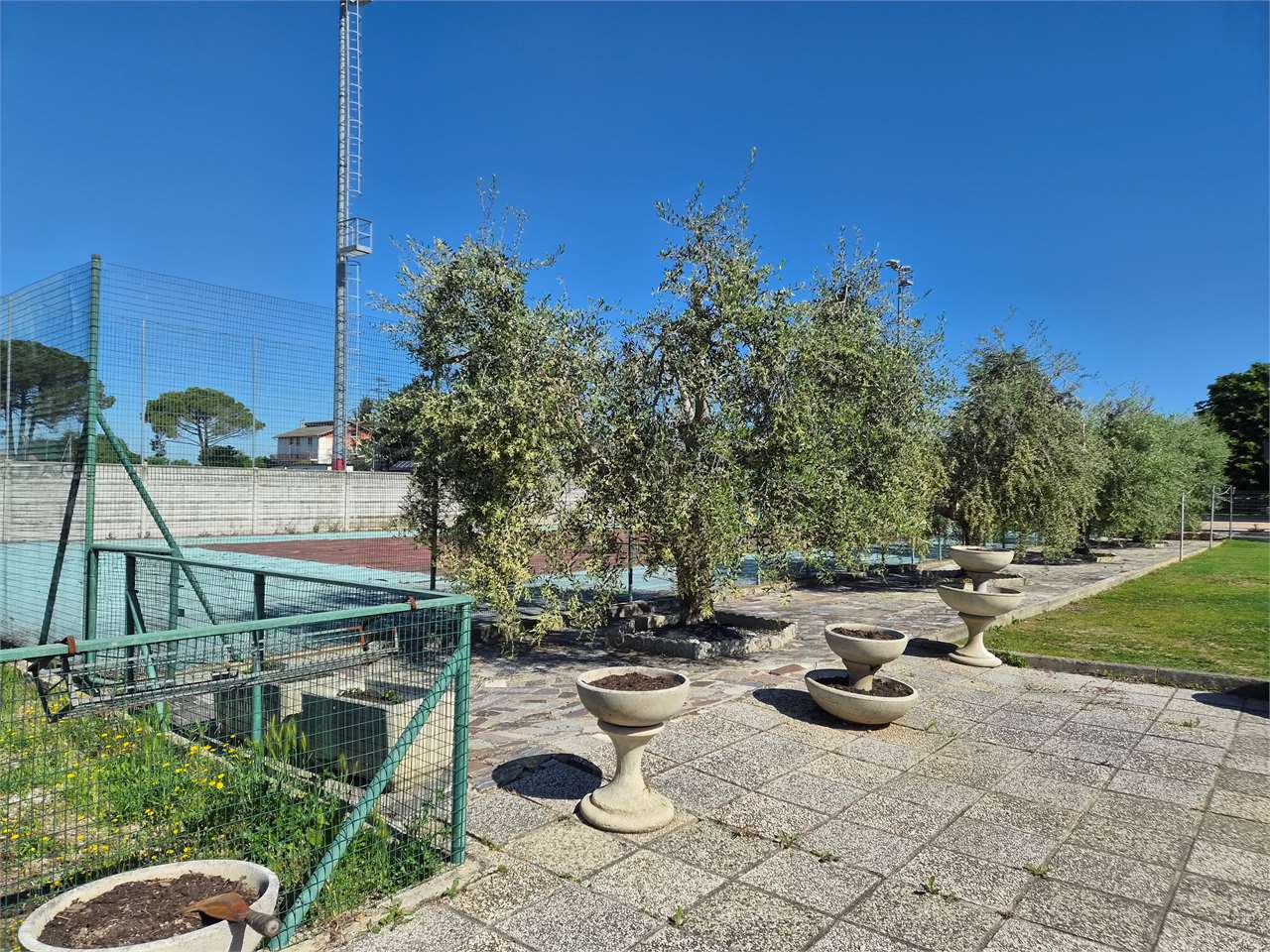 immagine annuncio 4 di 11