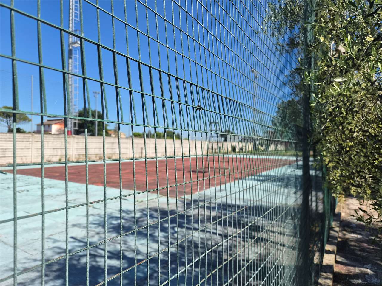 immagine annuncio 5 di 11
