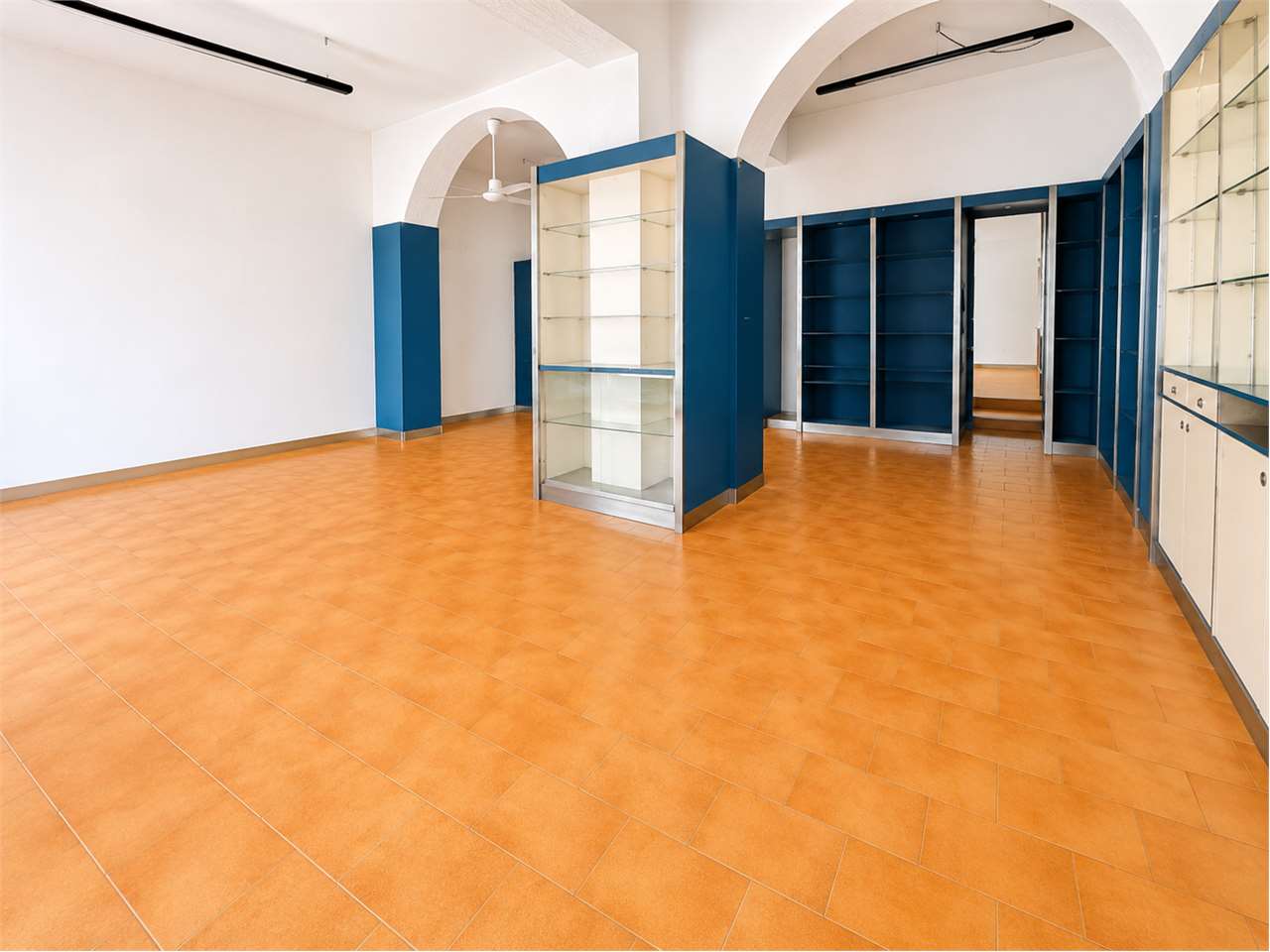 immagine annuncio 1 di 13