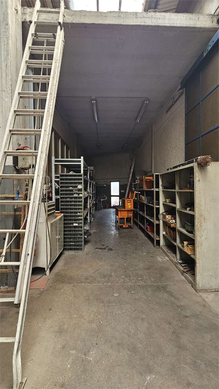 immagine annuncio 9 di 15