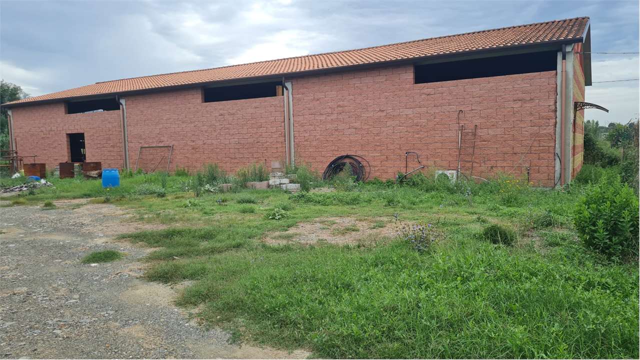 immagine annuncio 1 di 2