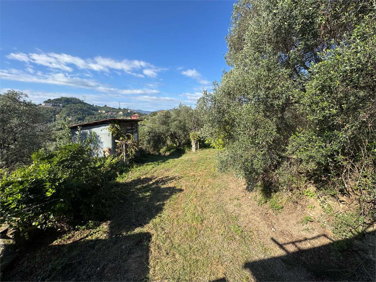 immagine annuncio 5 di 12