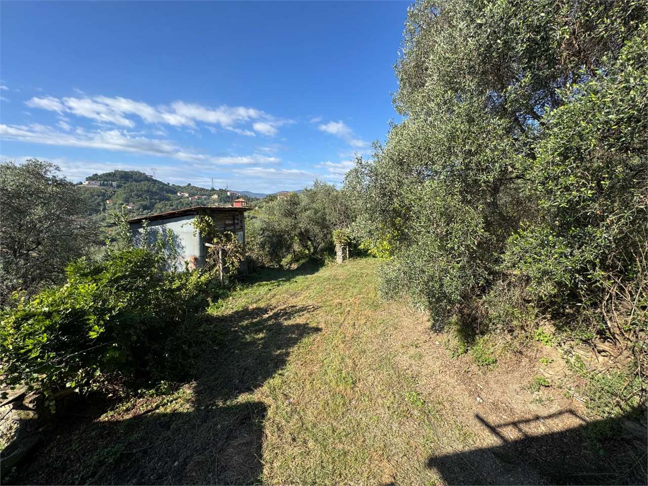 immagine annuncio 6 di 12