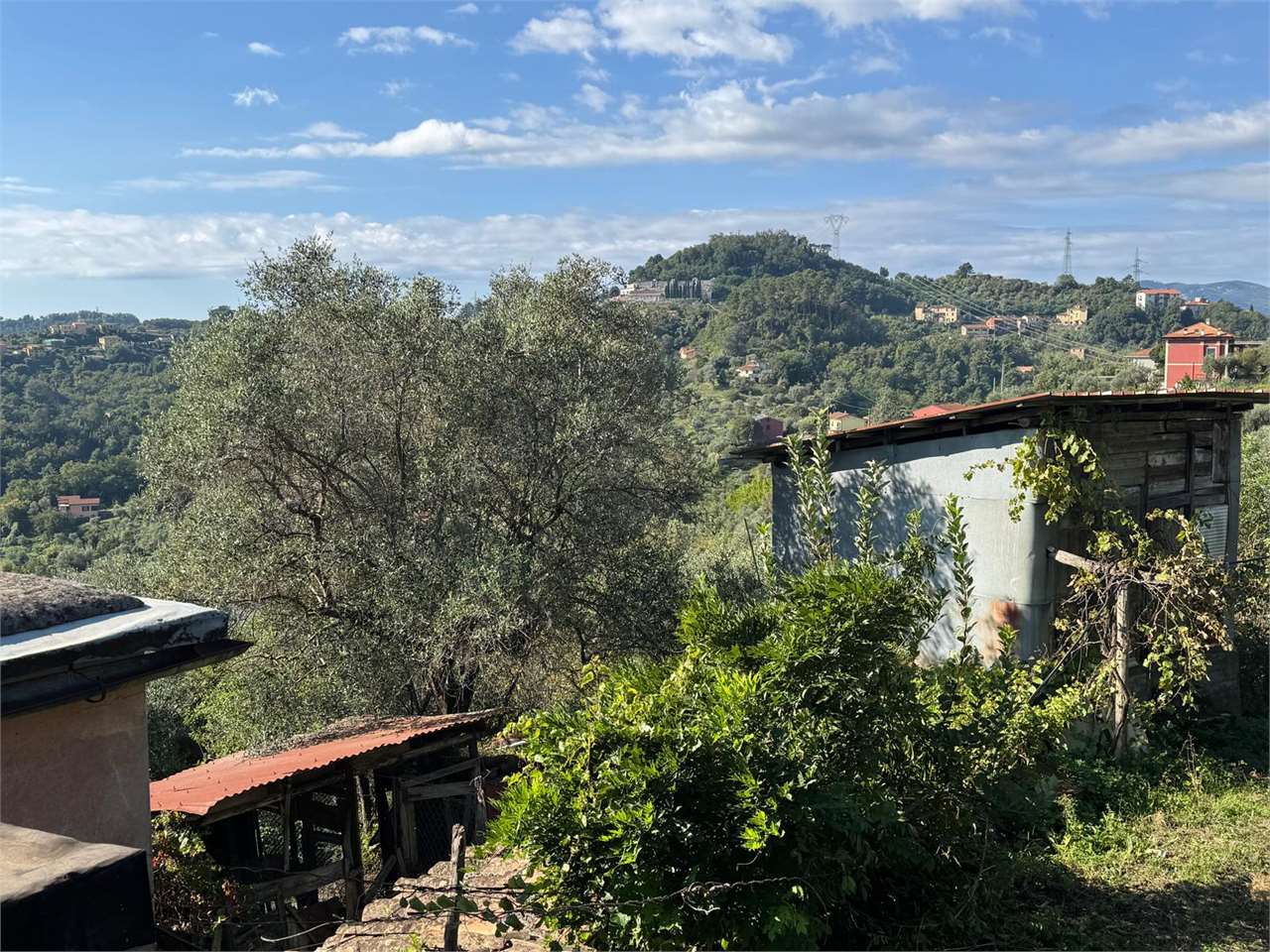 immagine annuncio 7 di 12