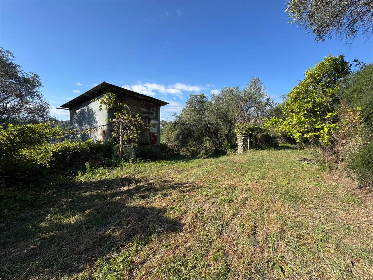 immagine annuncio 10 di 12