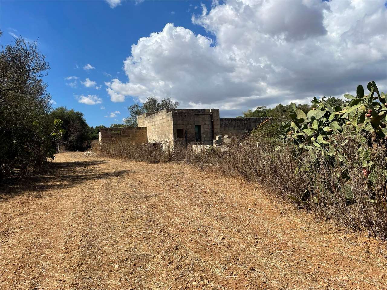 PPMT1374391 PPMT1374391