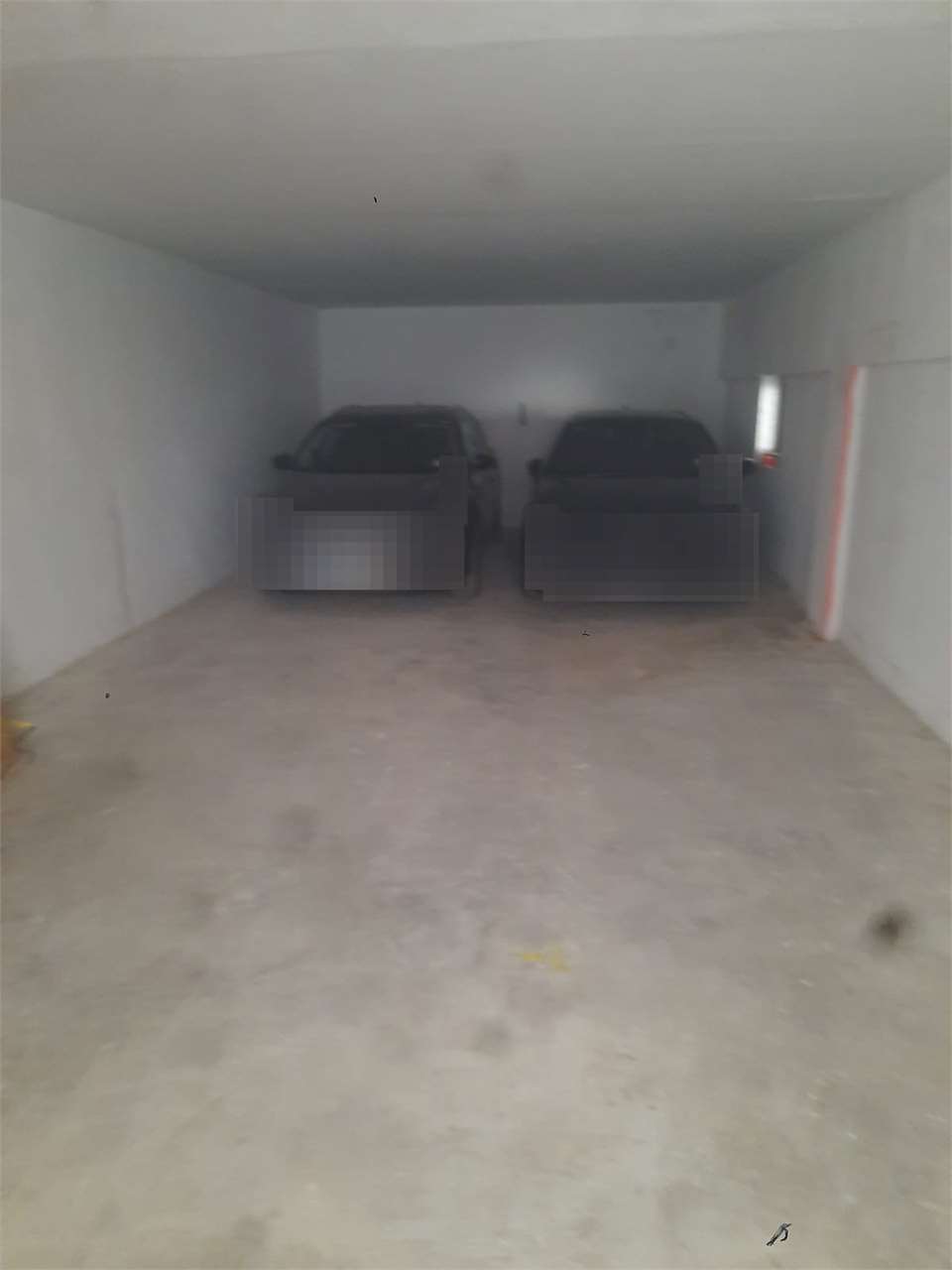 PPMT1371147 PPMT1371147