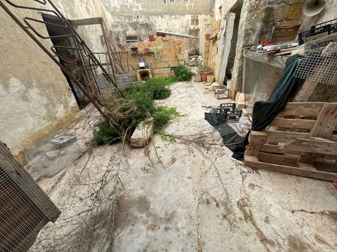 PPMT1380724 PPMT1380724