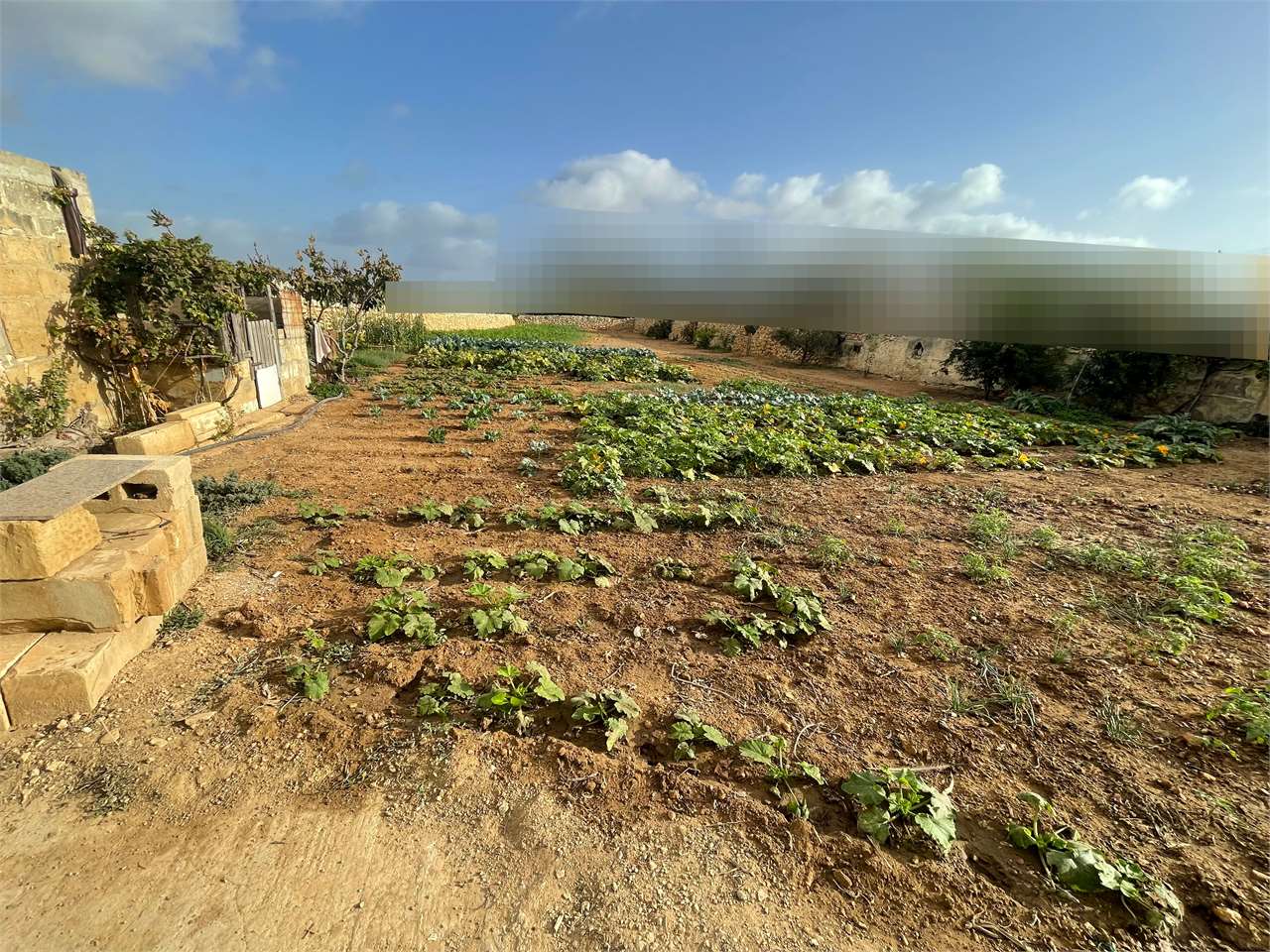 PPMT1371103 PPMT1371103