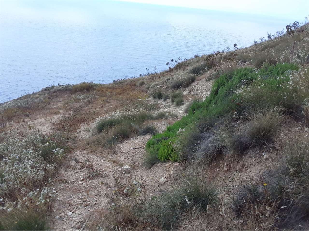 PPMT1374763 PPMT1374763