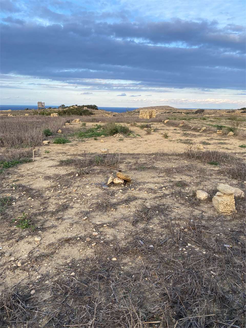 PPMT1371449 PPMT1371449