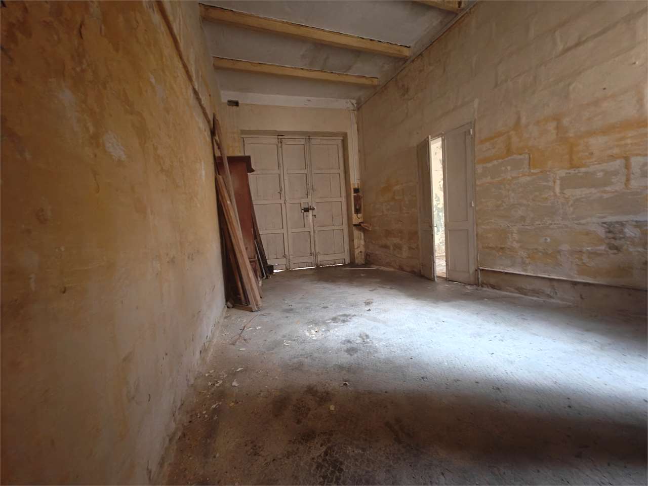 PPMT1371499 PPMT1371499