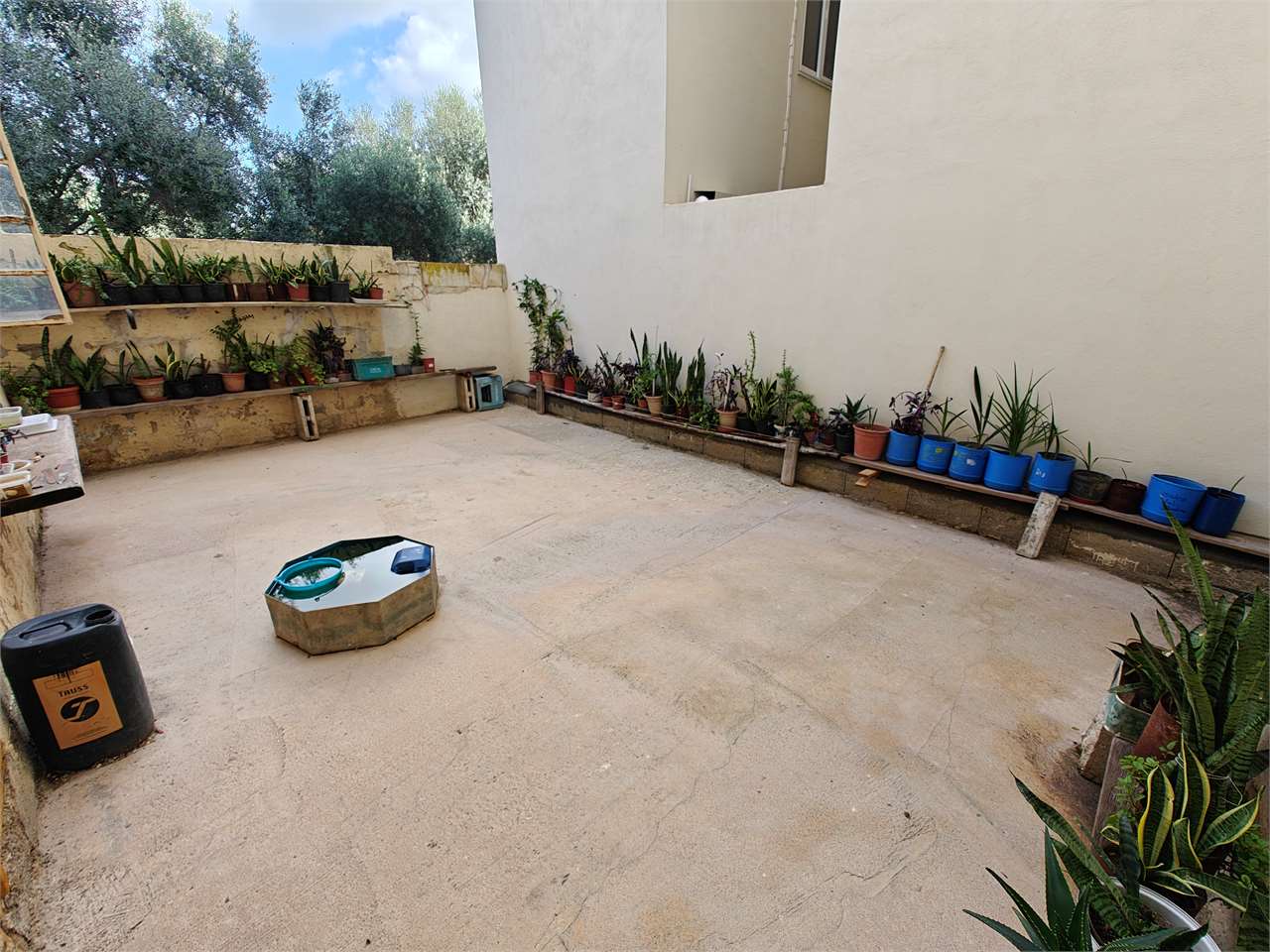 PPMT1371603 PPMT1371603