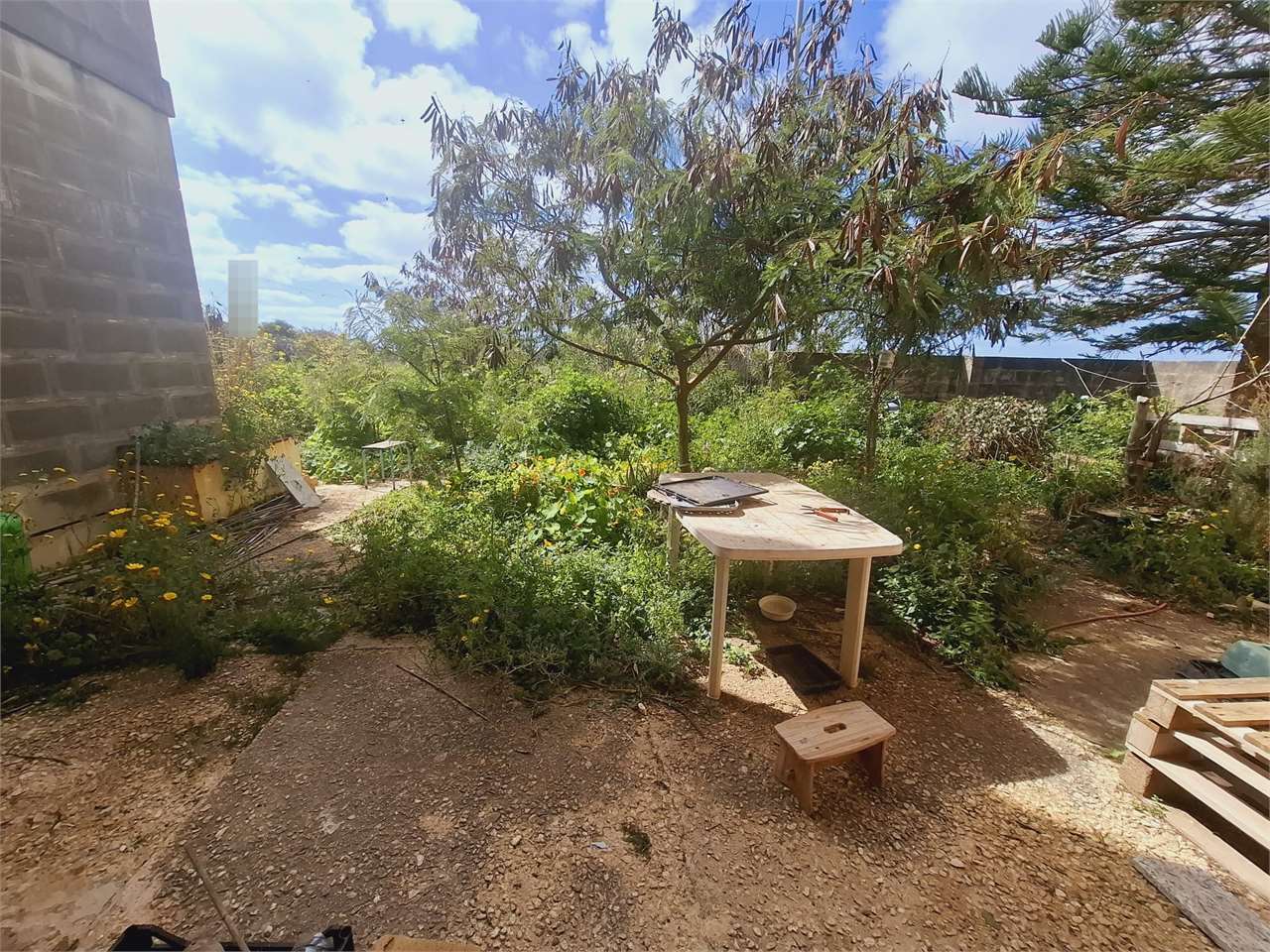 PPMT1380443 PPMT1380443