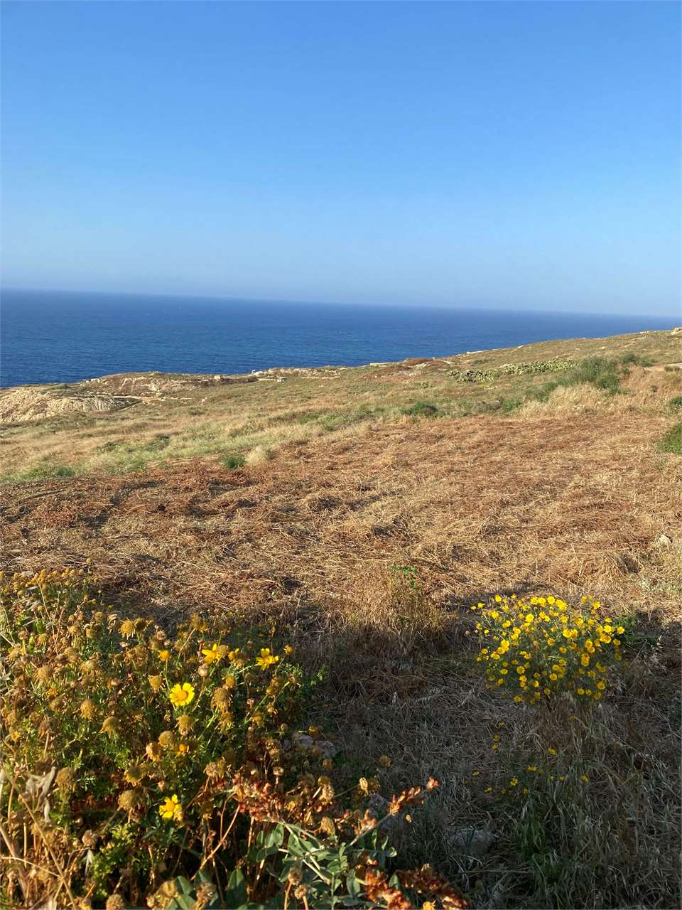 PPMT1375459 PPMT1375459