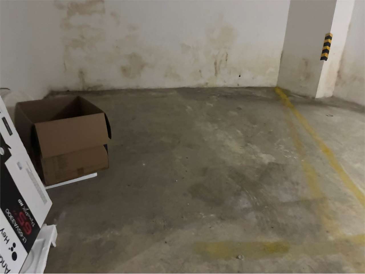 PPMT1375697 PPMT1375697