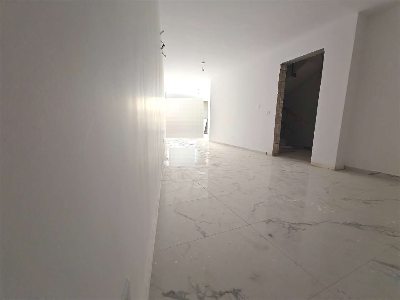 PPMT1371651 PPMT1371651