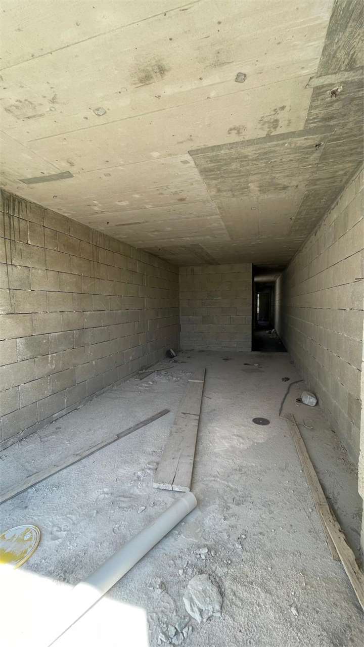 PPMT1375847 PPMT1375847