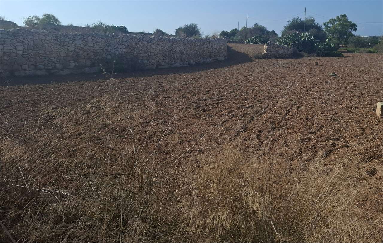 PPMT1373033 PPMT1373033