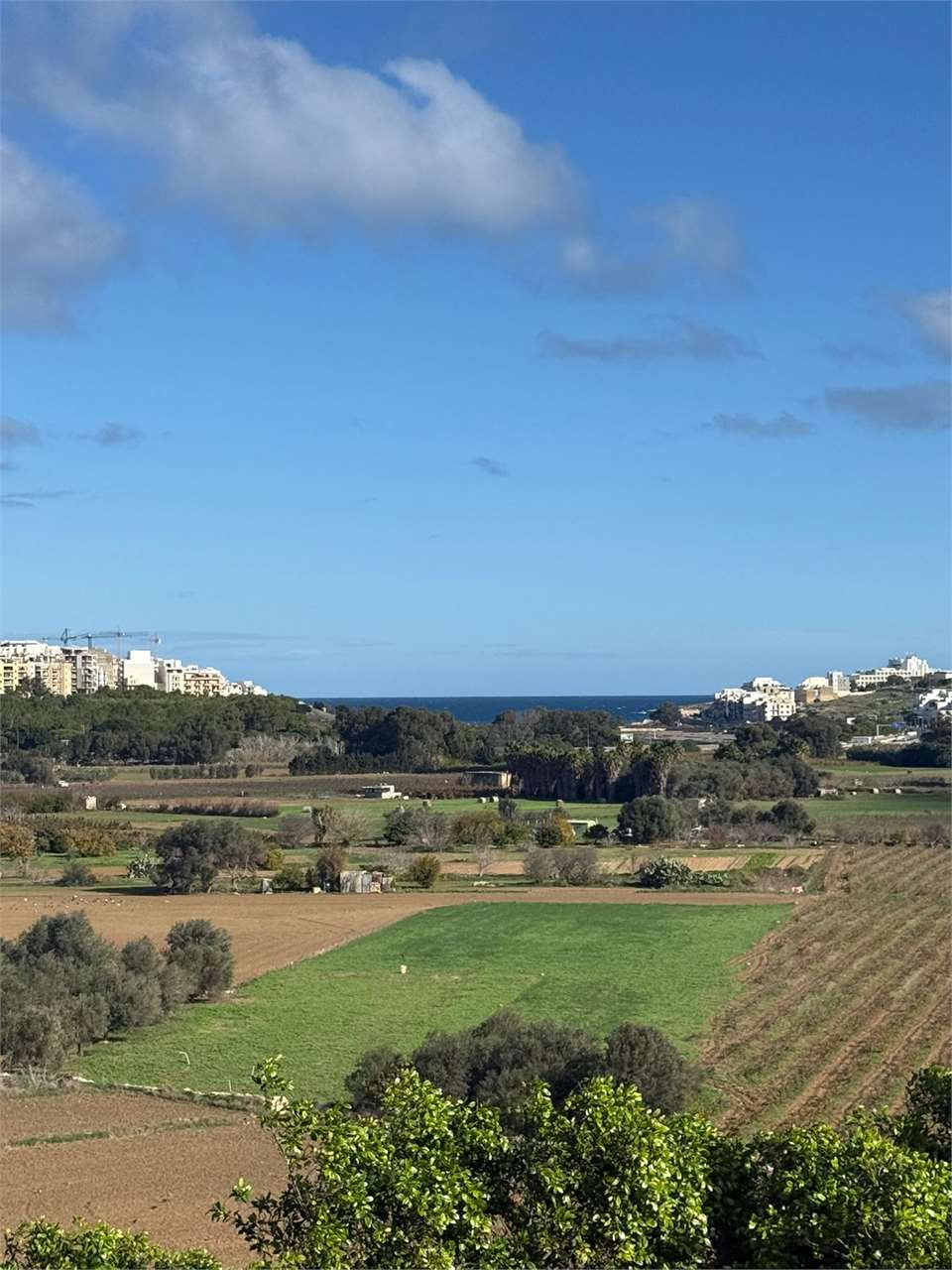 PPMT1373421 PPMT1373421