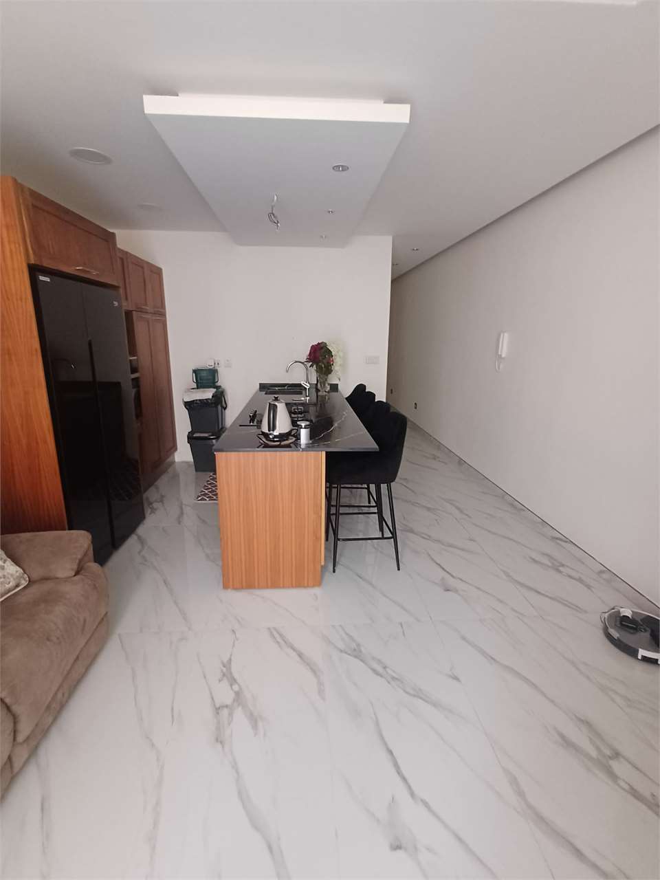 PPMT1376847 PPMT1376847