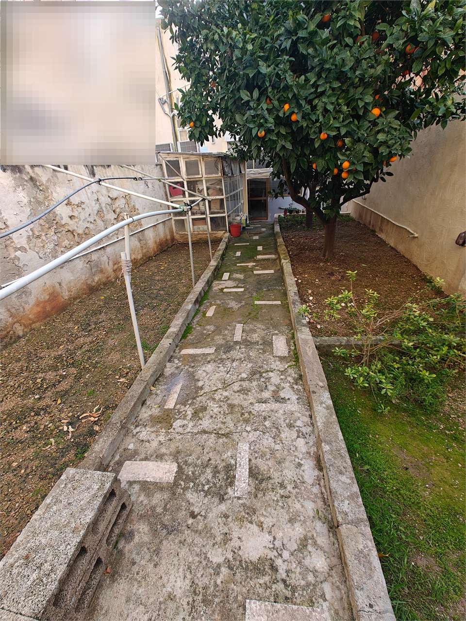 PPMT1372489 PPMT1372489