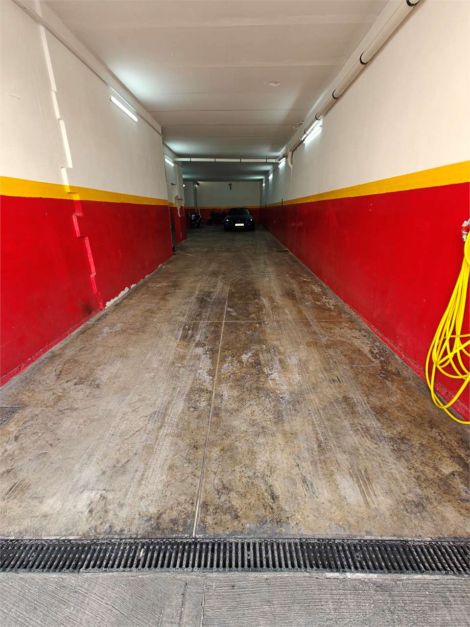 PPMT1377738 PPMT1377738