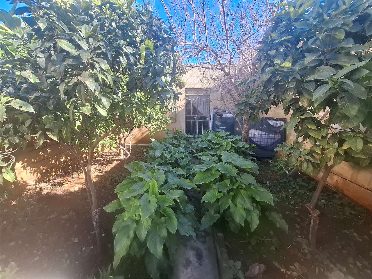 PPMT1377906 PPMT1377906