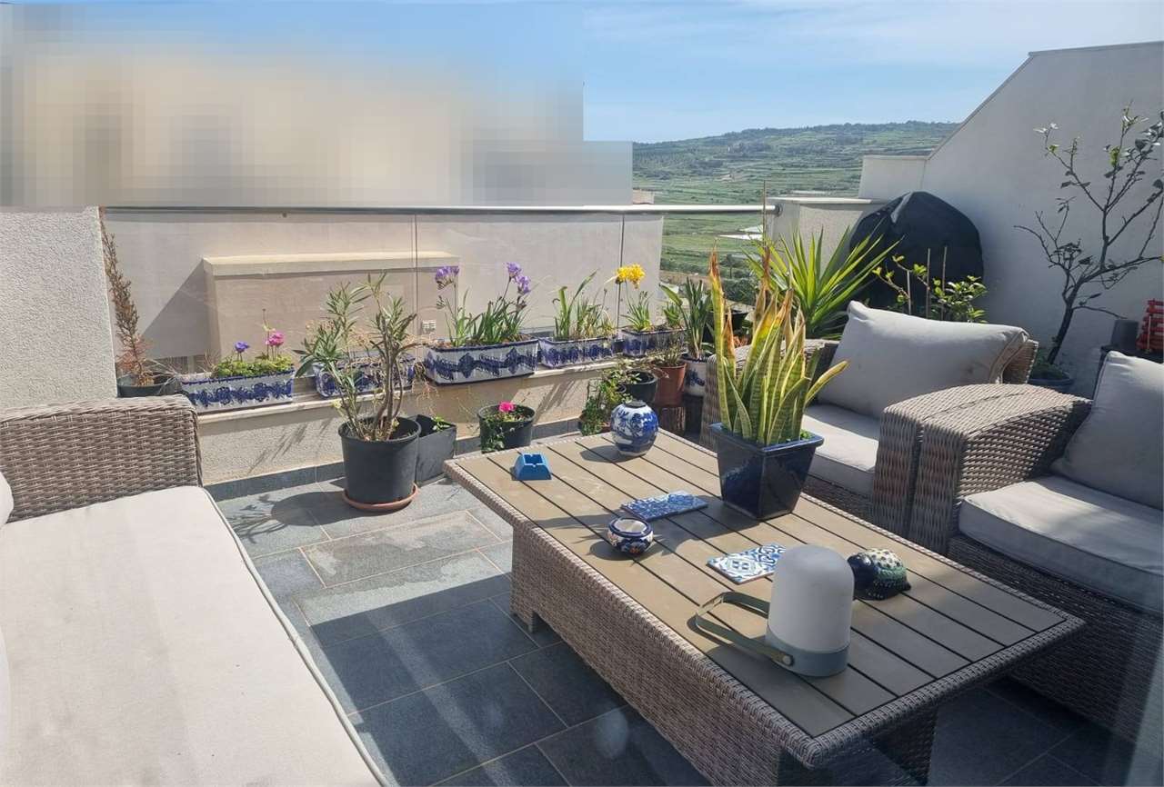 PPMT1381558 PPMT1381558