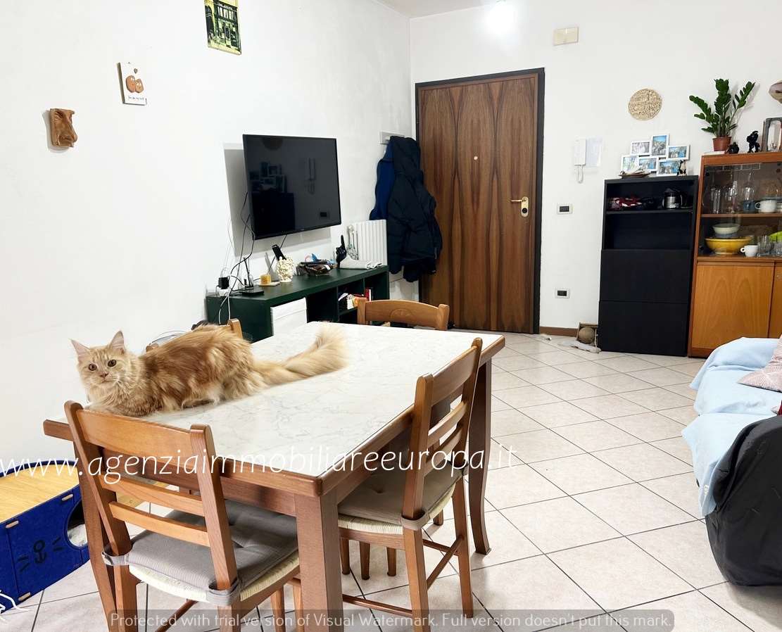 immagine annuncio 1 di 13