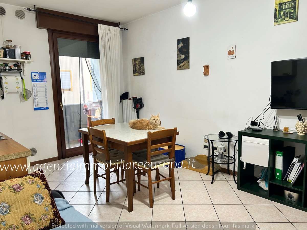 immagine annuncio 4 di 13