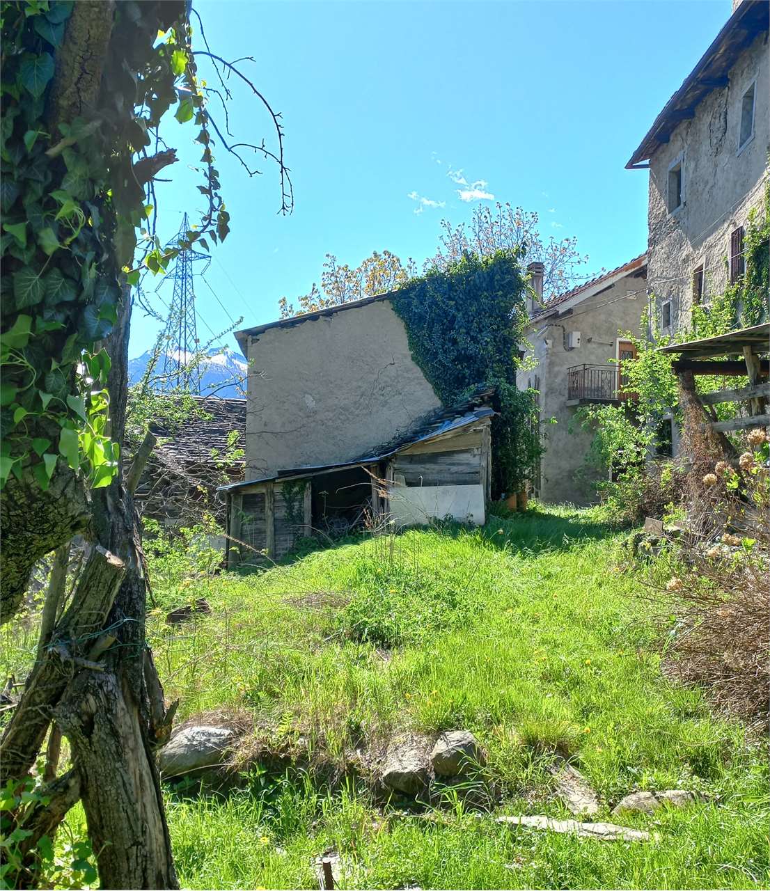 immagine annuncio 2 di 10