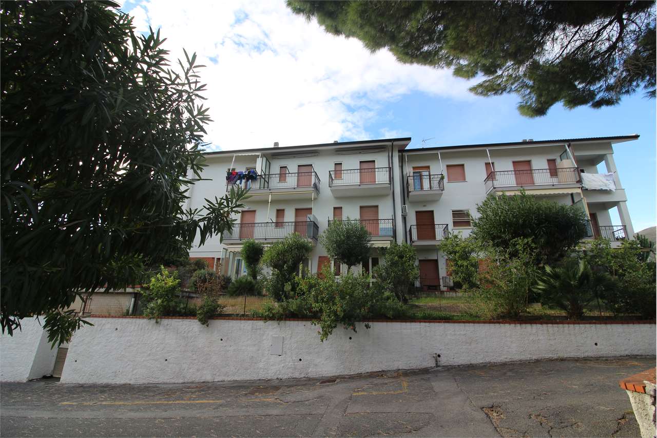 immagine annuncio 10 di 11