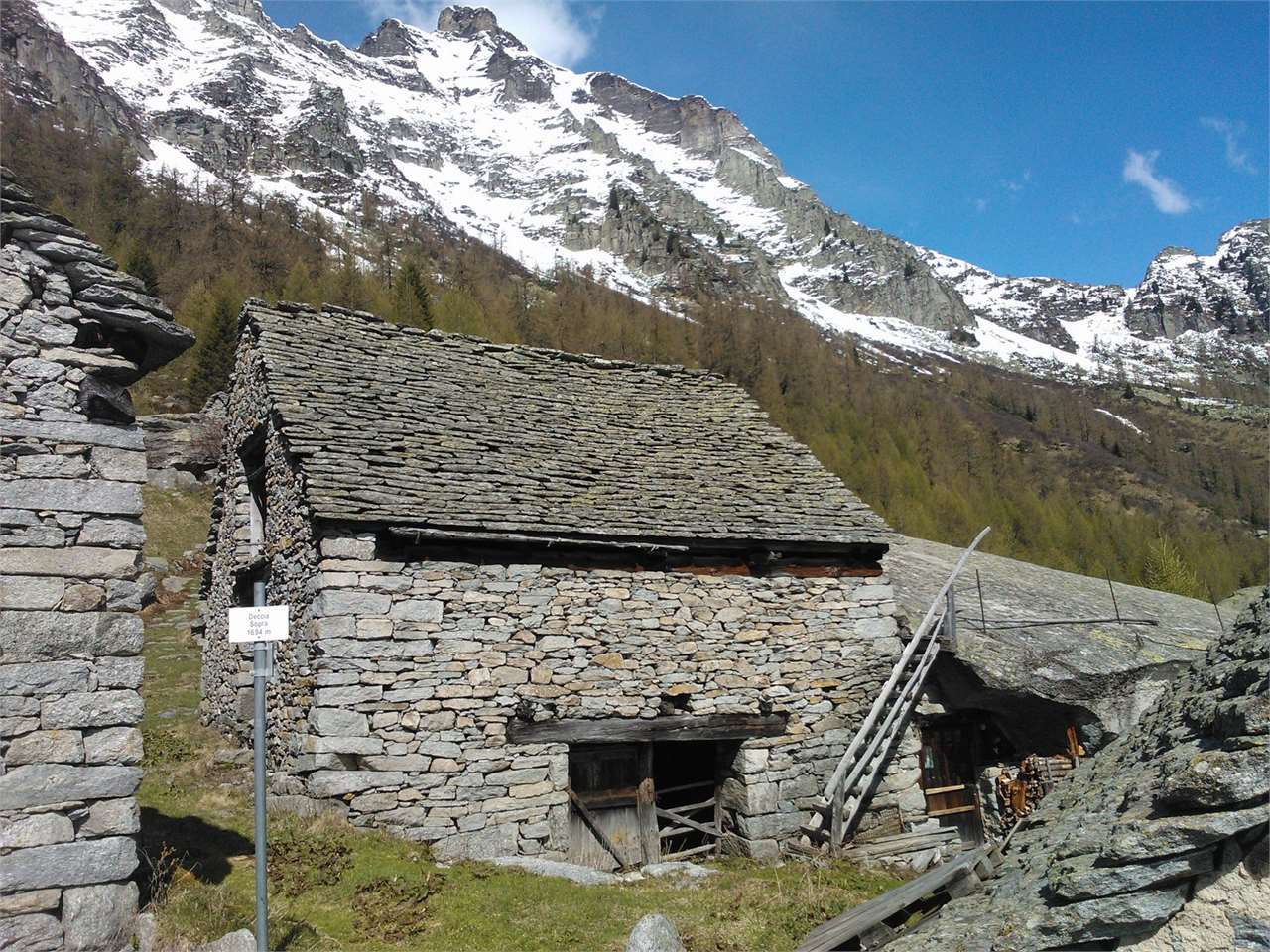 immagine annuncio 1 di 6