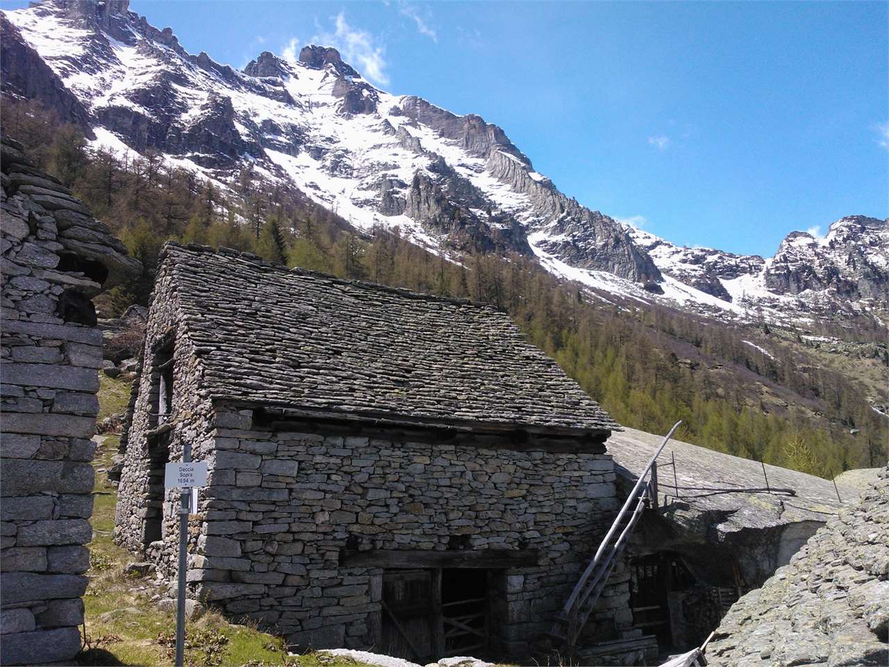 immagine annuncio 4 di 6
