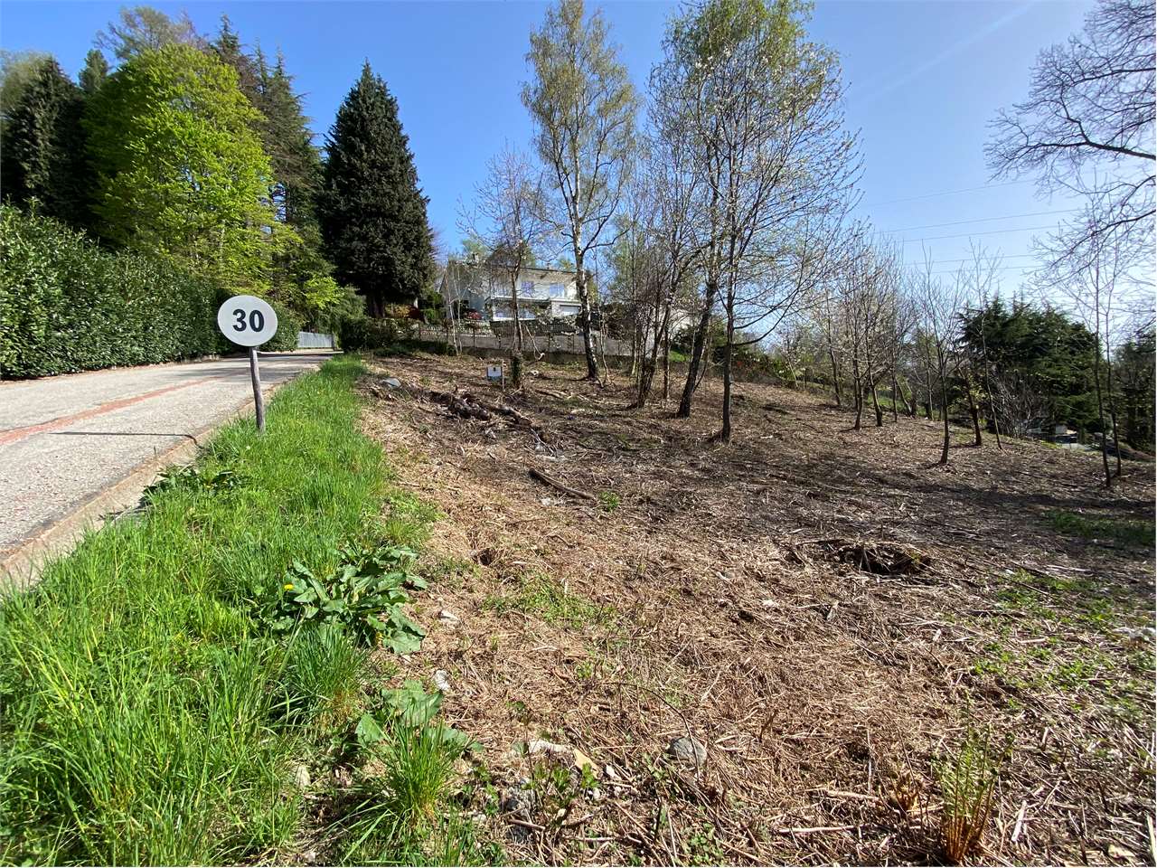 immagine annuncio 2 di 8