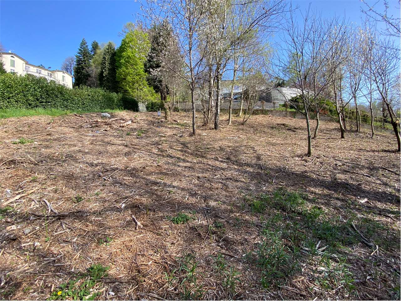 immagine annuncio 3 di 8