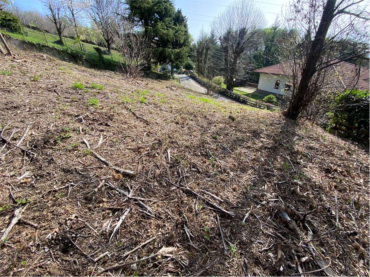 immagine annuncio 4 di 8